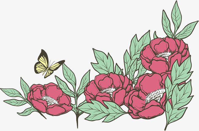手绘美丽的牡丹花丛