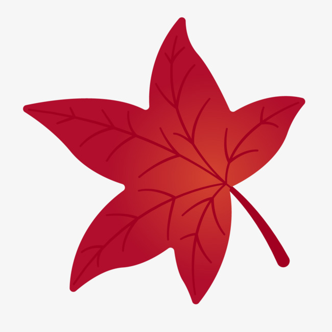 红色运动鞋手绘红色枫叶