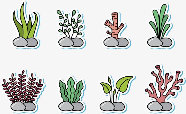 海洋蓝色简约鱼类海草深海装饰画海底生物png