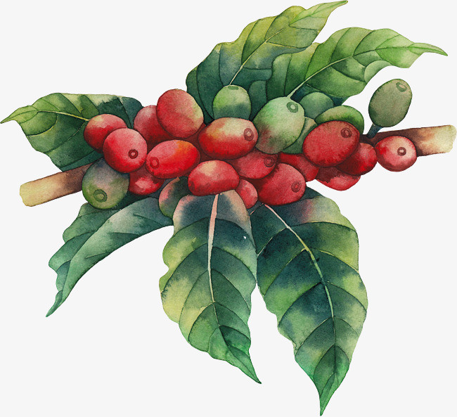 卡通插画装饰卡通水果果实装饰元素