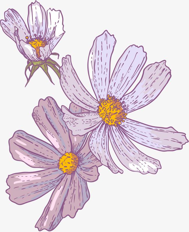 手绘紫色花朵花瓣