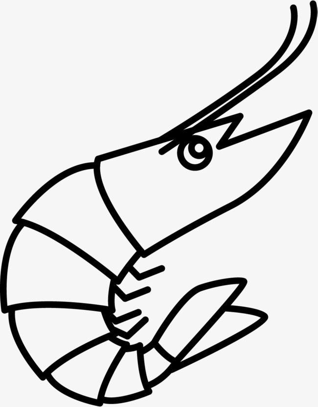 手绘插画装饰大虾海洋生物食材元素