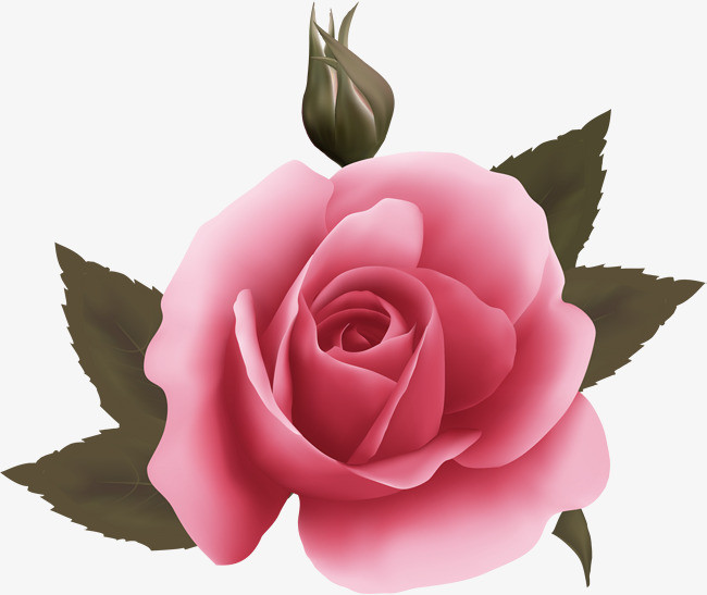 唯美红色花朵_png素材免费下载_ 2000*1680像素(编号:18970892)_90