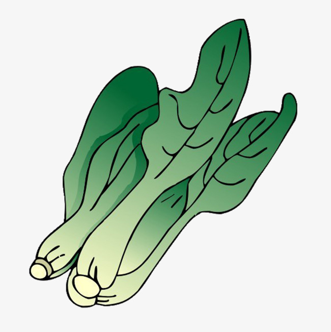 彩色创意小清新油菜花免扣装饰素材