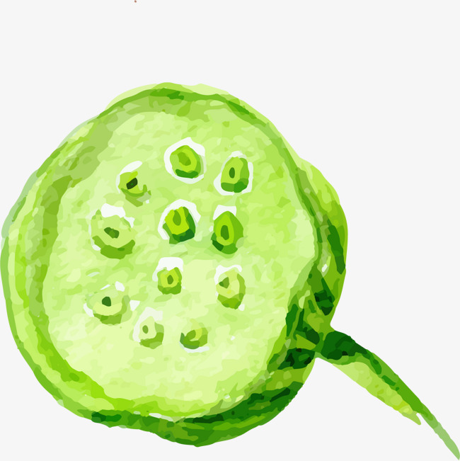 立夏夏季荷花荷叶莲子免扣元素素材