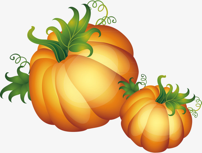 南瓜装饰设计矢量