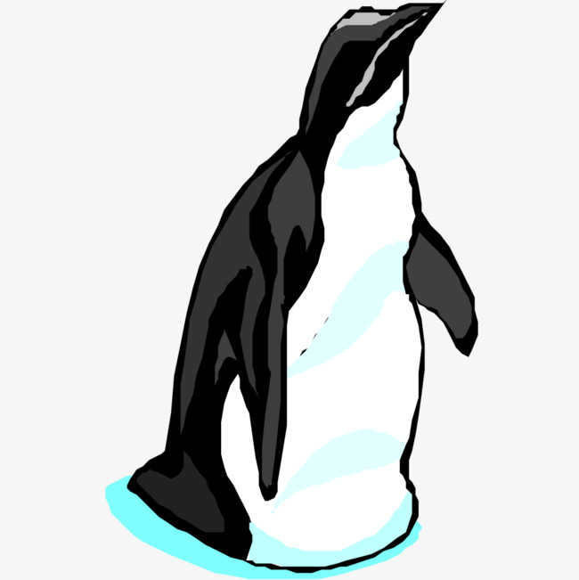 黑色企鹅
