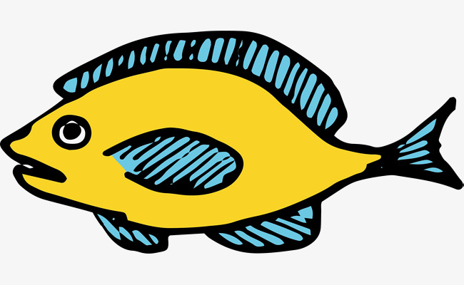 手绘黄色小鱼