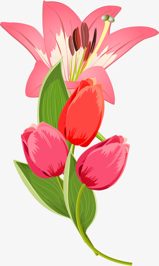 红色喇叭花_png素材免费下载_ 2000*3336像素(编号:19038925)_90设计