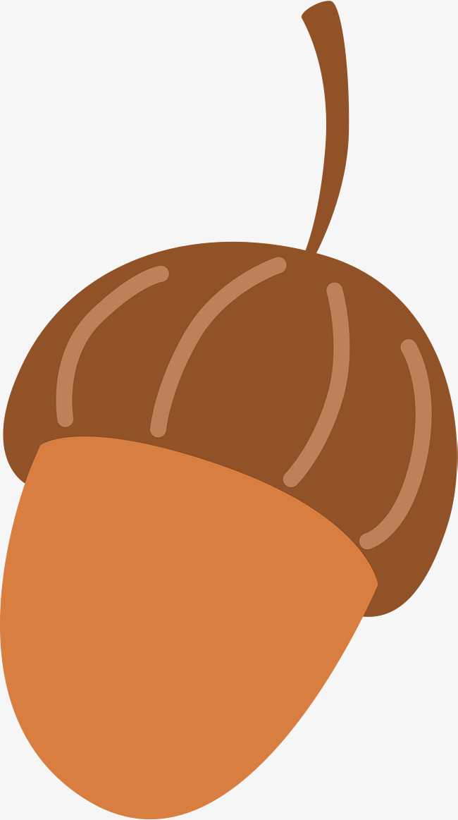 咖啡色卡通松果