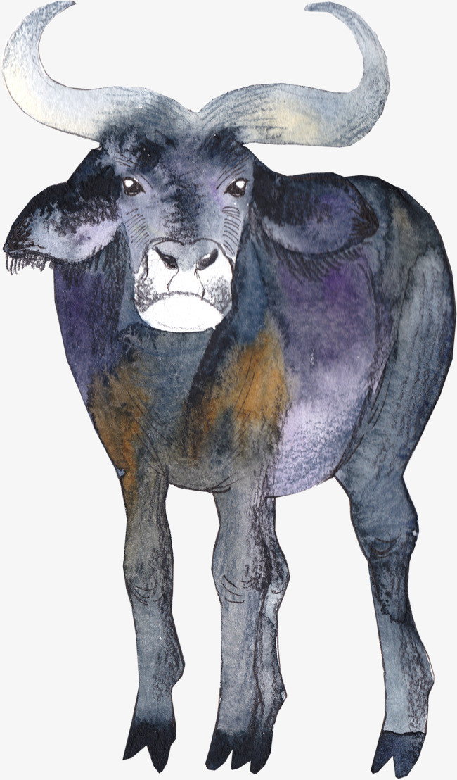 水彩老牛_png素材免费下载_ 1702*2899像素(编号:19045147)_90设计