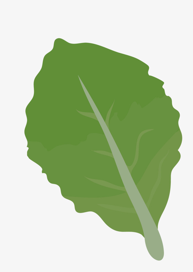 矢量蔬菜叶子