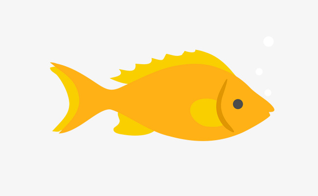 矢量黄鱼