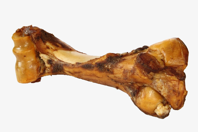 实物大骨头肉骨头