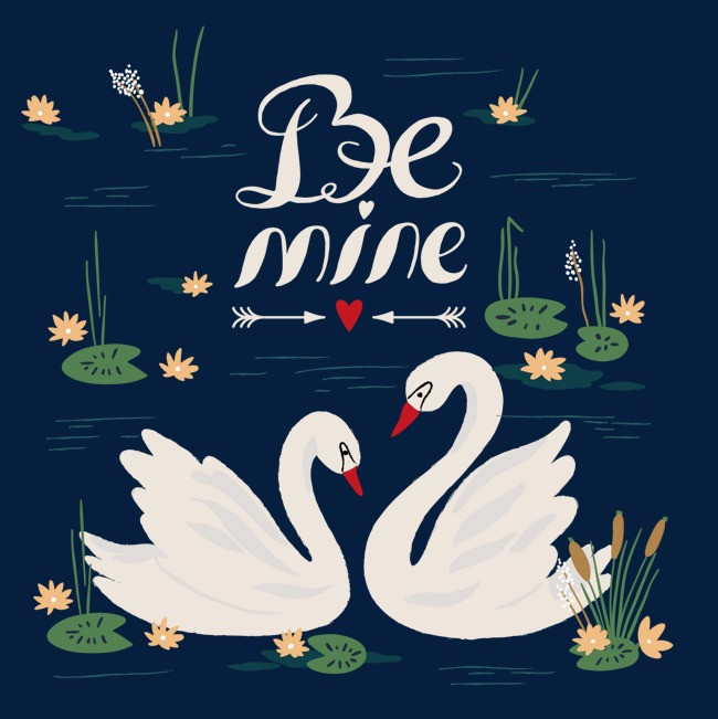 在水中嬉戏的鸳鸯