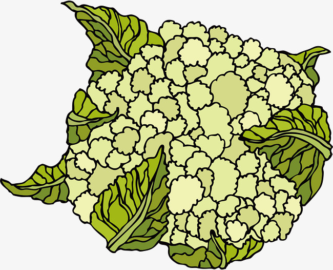 手绘花菜