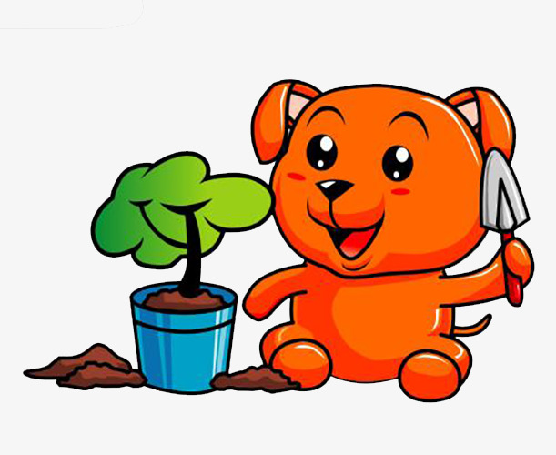 种树的狗狗