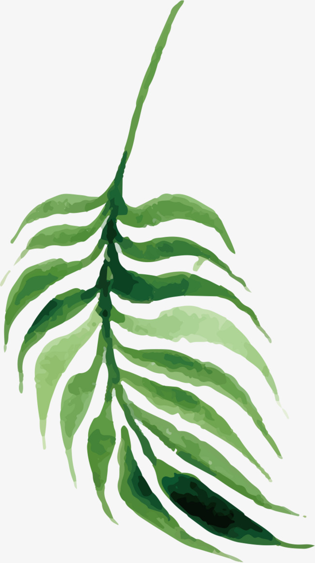 手绘绿色卡通叶子边框背景元素设计