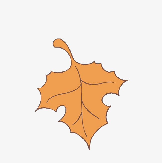 手绘枯黄的落叶