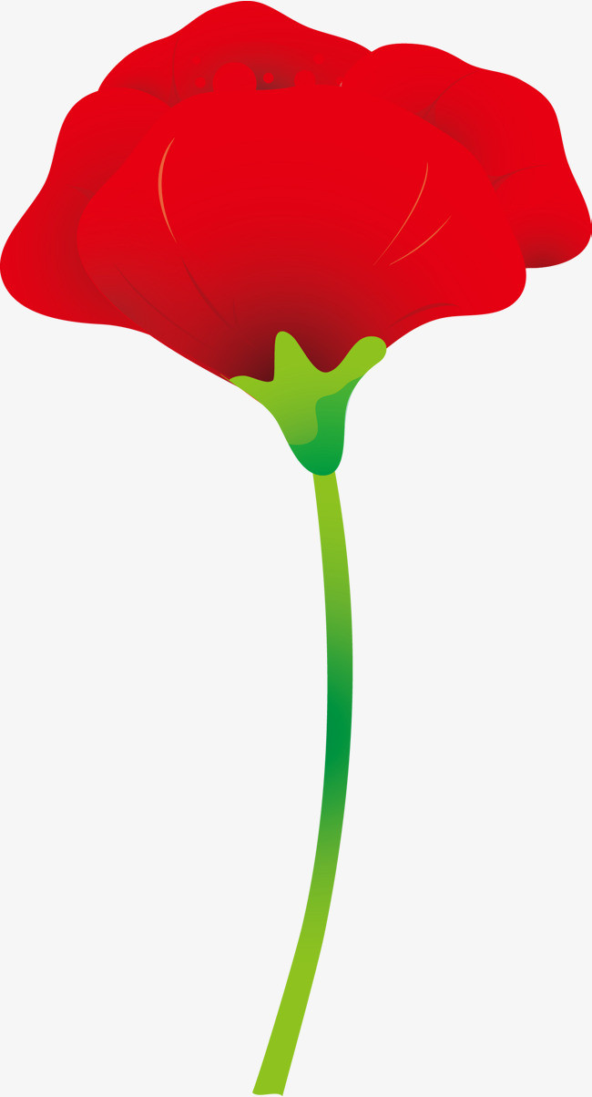 红色罂粟花简笔画图片