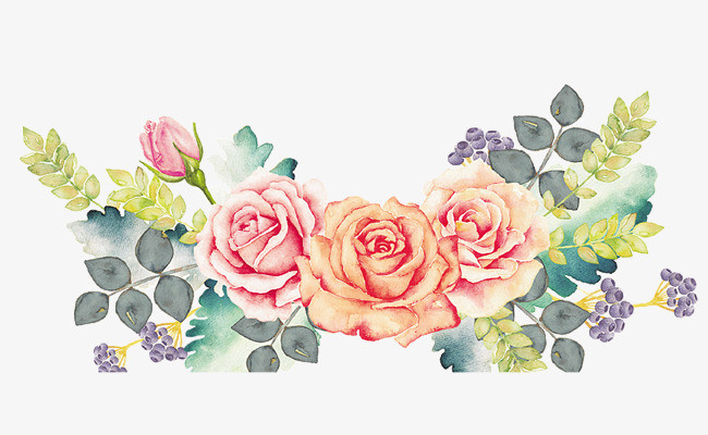 的玫瑰花_png素材免费下载_ 2789*1584像素(编号:19132499)_90设计