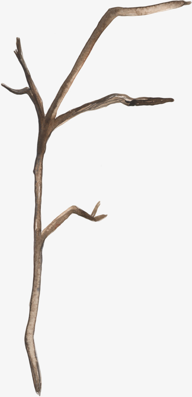 手绘树枝