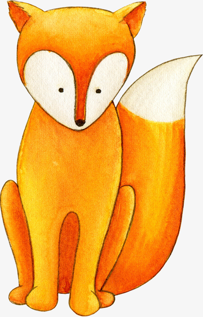 橙色的狐狸