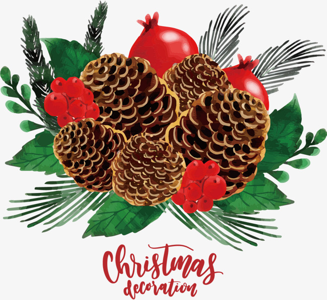 树叶矢量手绘松塔装饰