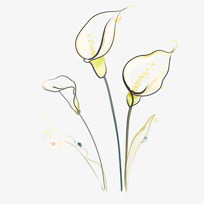 卡通插画白色风信子png