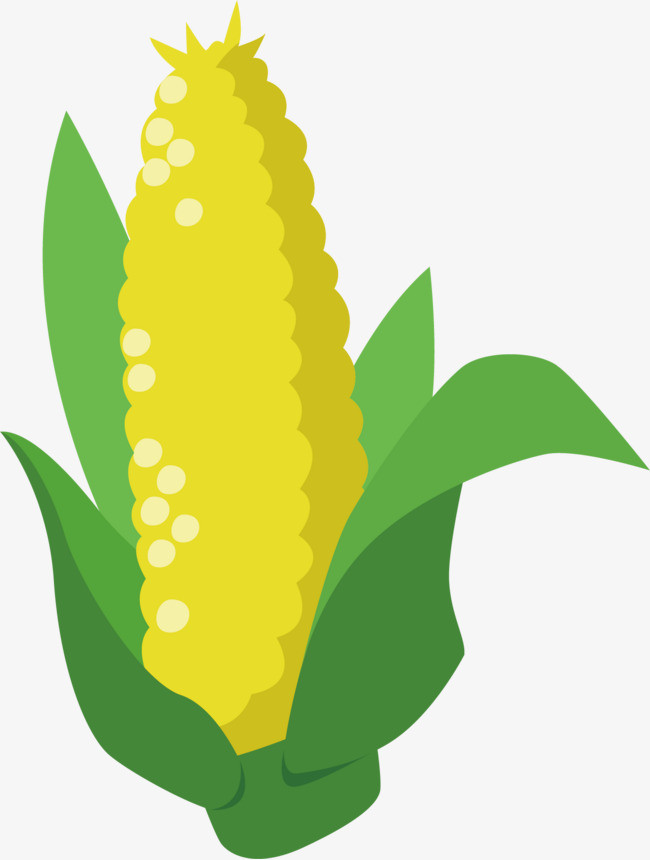 绿黄玉米矢量图案