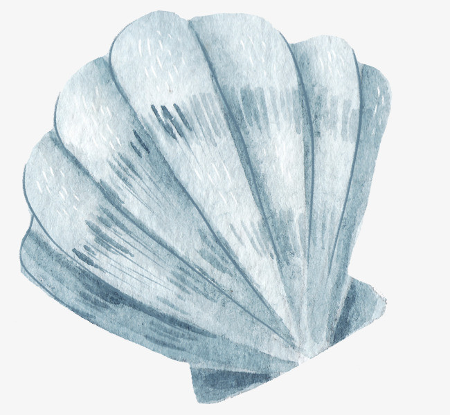 手绘贝壳珍珠装饰素材