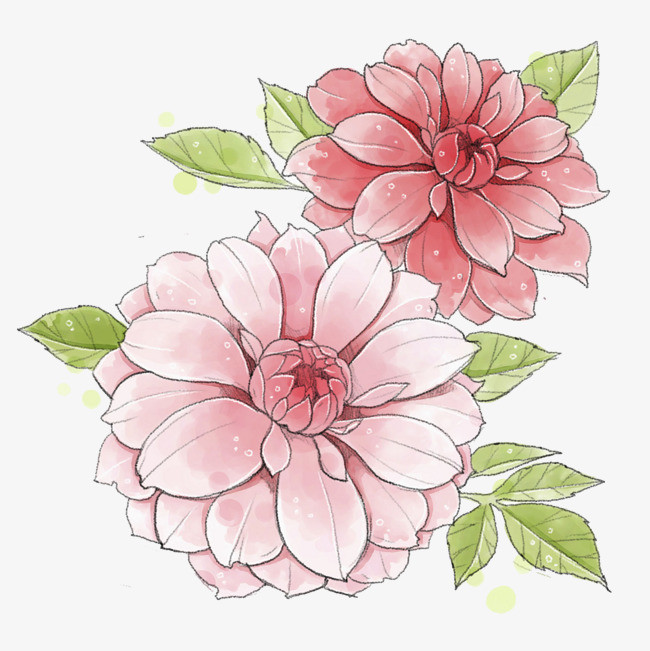 手绘唯美粉色花朵