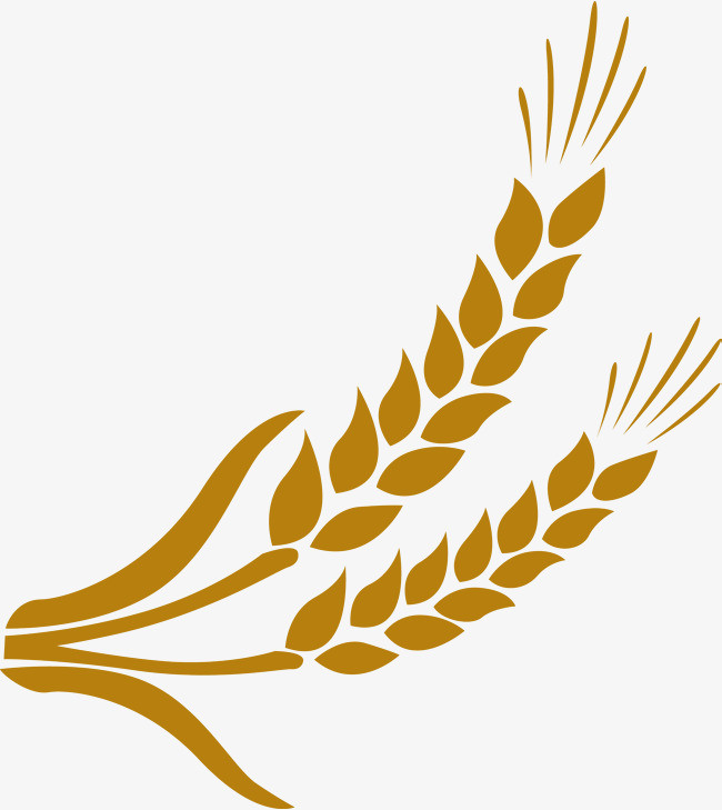 弯曲的麦子矢量图