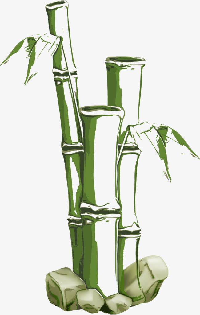 手绘绿色竹子竹叶