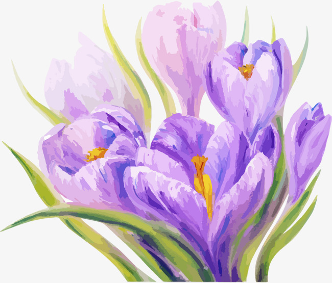 手绘紫色花朵装饰