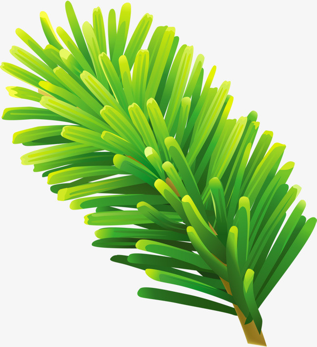 绿色冬日卡通松枝