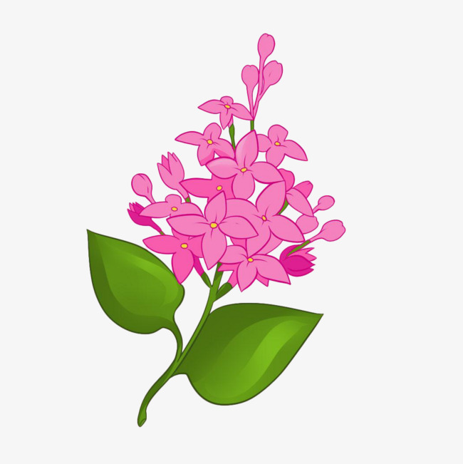 手绘时尚插画粉丁香免抠
