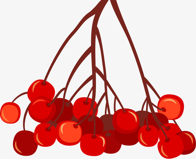 手绘新鲜红色樱桃图案