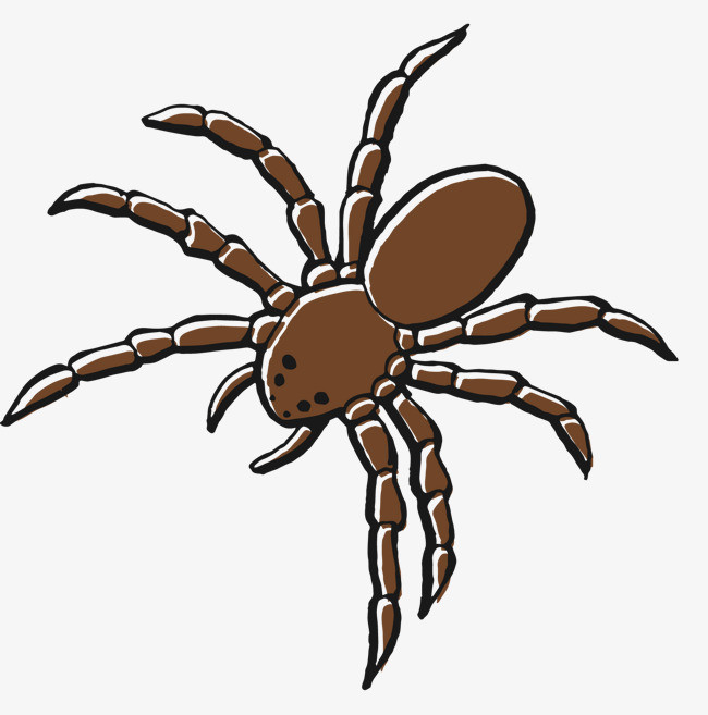 卡通恐怖蜘蛛网蛛丝矢量元素