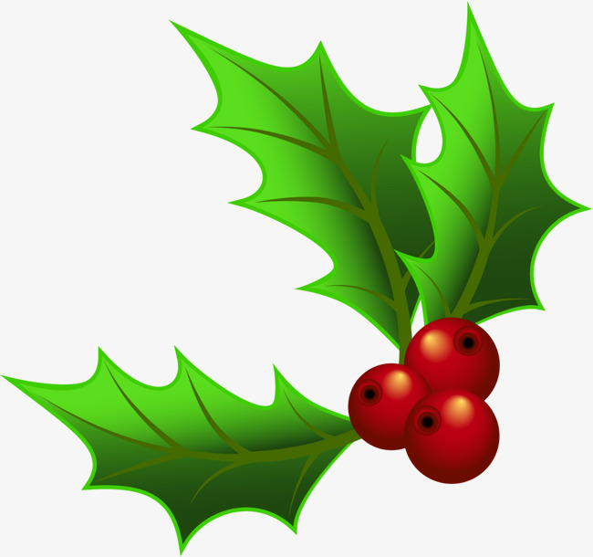 圣诞节绿色冬青装饰