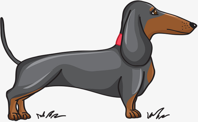 矢量可爱的腊肠犬