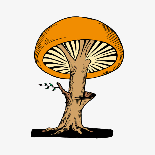 橘黄色手绘的蘑菇大树