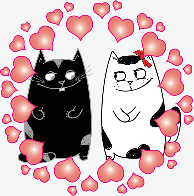情人节恩爱的猫咪