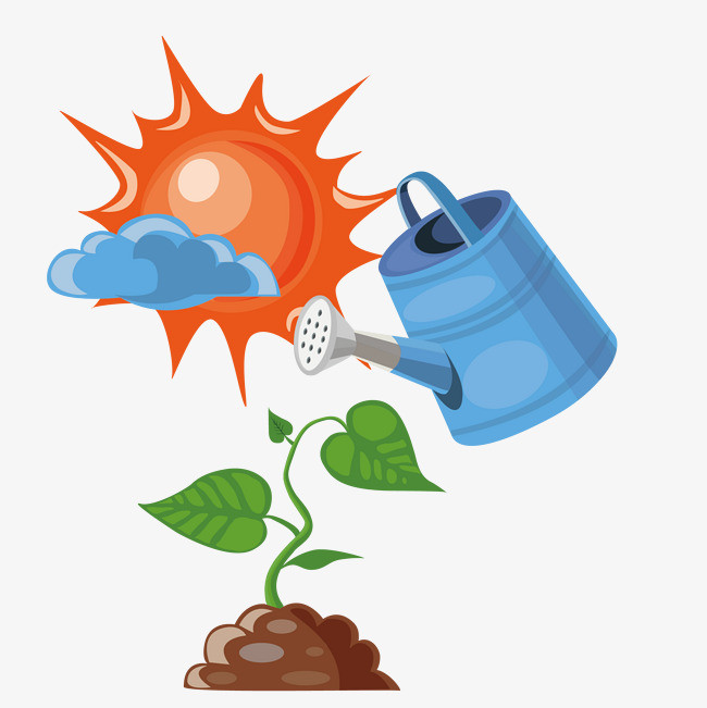 绿色植物上的太阳