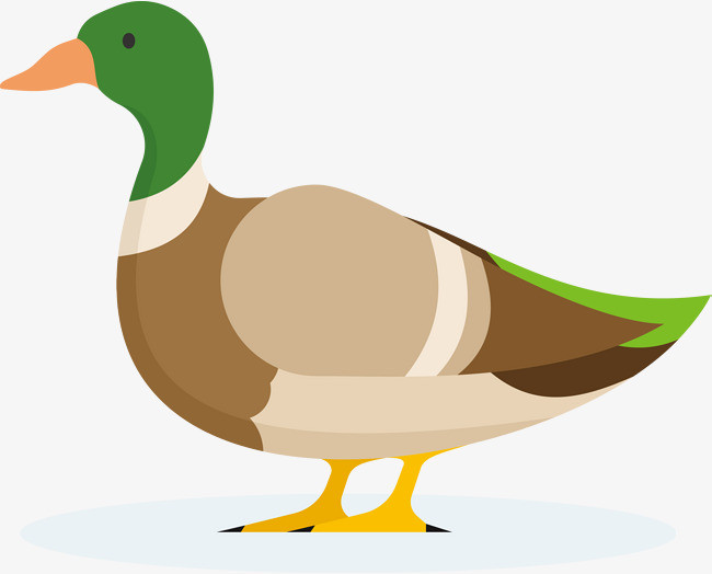 一只彩色手绘鸭子