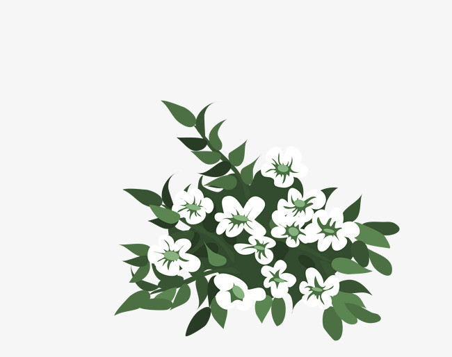 绿叶和白色小花简图png素材下载