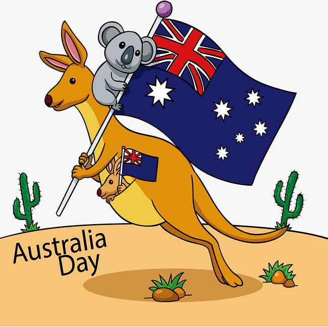 卡通手绘可爱小动物考拉英文字母