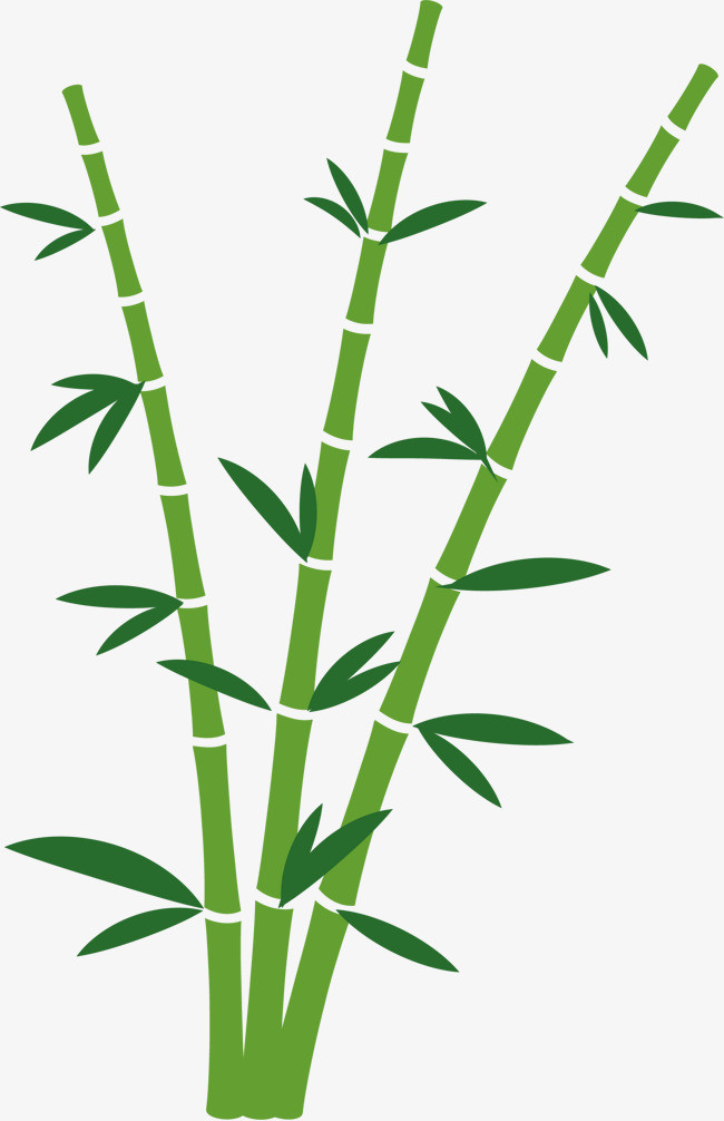 卡通手绘绿色的竹子