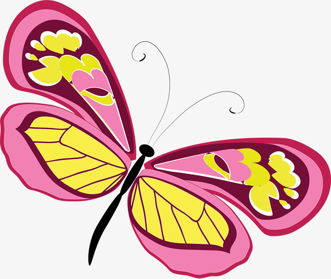 卡通手绘彩色蝴蝶