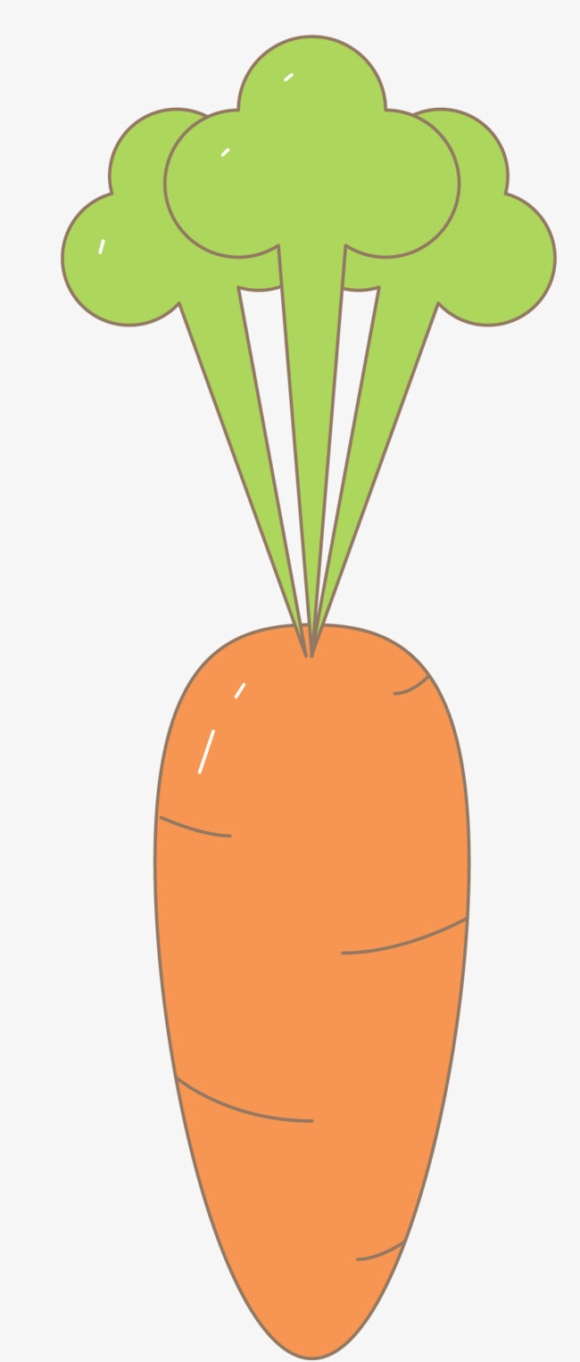 细长的卡通矢量胡萝卜